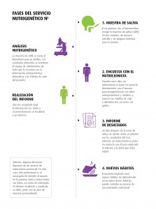 Fases del Servicio Nutrigenetico Ns