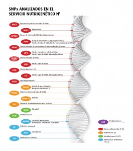 SNPs analizados en el Servicio Nutrigentico