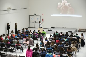 Escuelas Corazon Vitoria