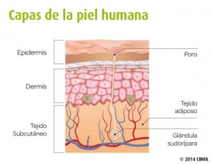 consejos-cuidar-piel