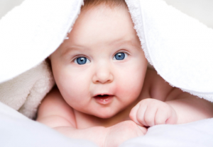 bebe