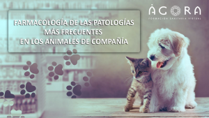 farmacologia-de-las-patologias-mas-frecuentes-en-los-animales-de-compania