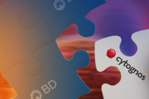 BDjuno 22