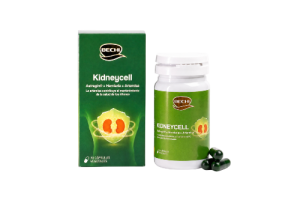 Bechi Kidneycell