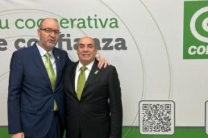 Cofano