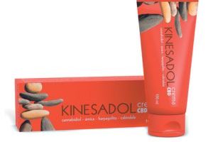 Kinesadol