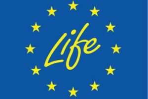 LIFE-GREENAPI