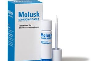 Molusk