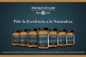 Principium