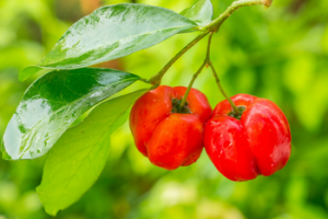 Por qué es importante la vitamina C