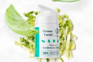 best sellers de Green Cornerss