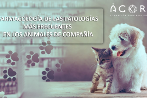 farmacologia-de-las-patologias-mas-frecuentes-en-los-animales-de-compania