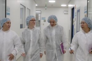 medicamentos genéricos