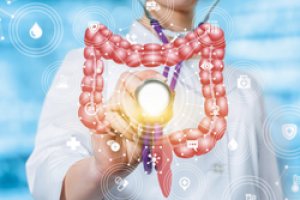microbiota web