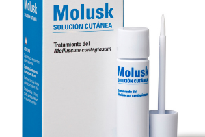 molusk 300