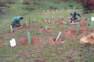 zonas naturales incendios hefame