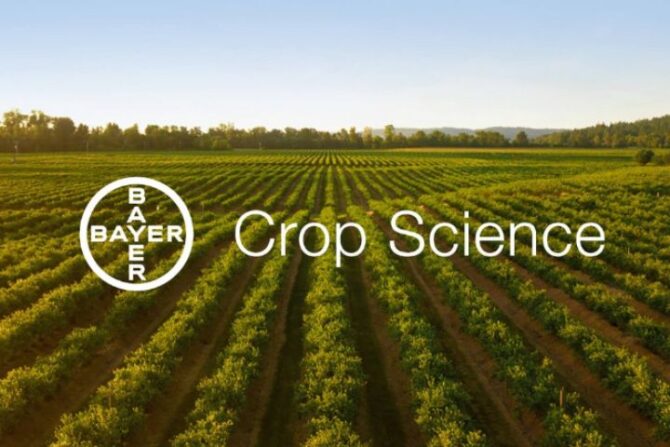 material compostable