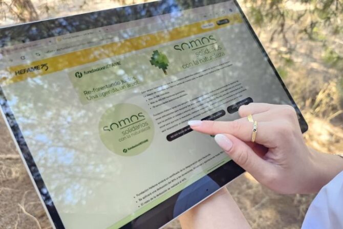 reforestar reforestación